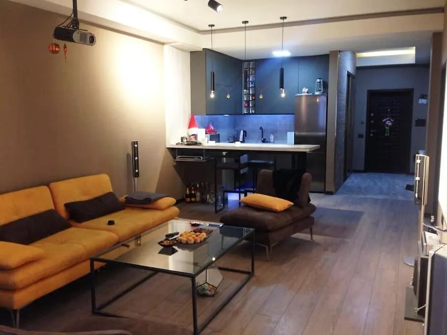 Stylish Loft In The Center Of Baku Apartment