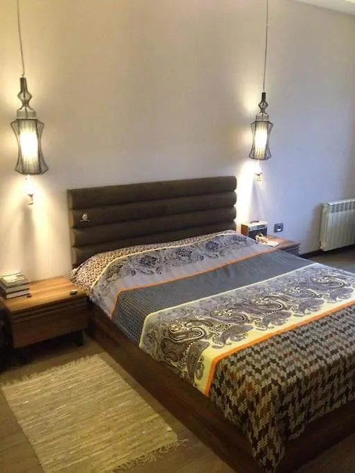 Stylish Loft In The Center Of Baku Apartment 0*,